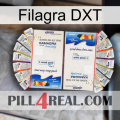 Filagra DXT kamagra1